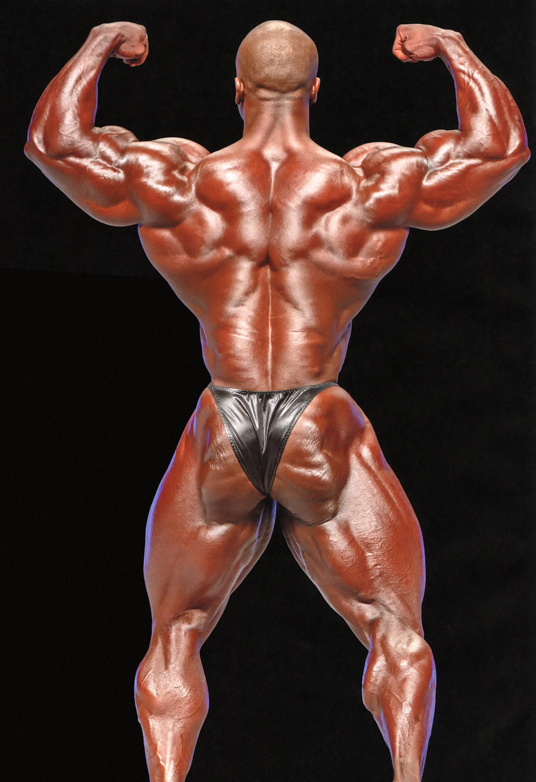 2013 Bodybuilding Images