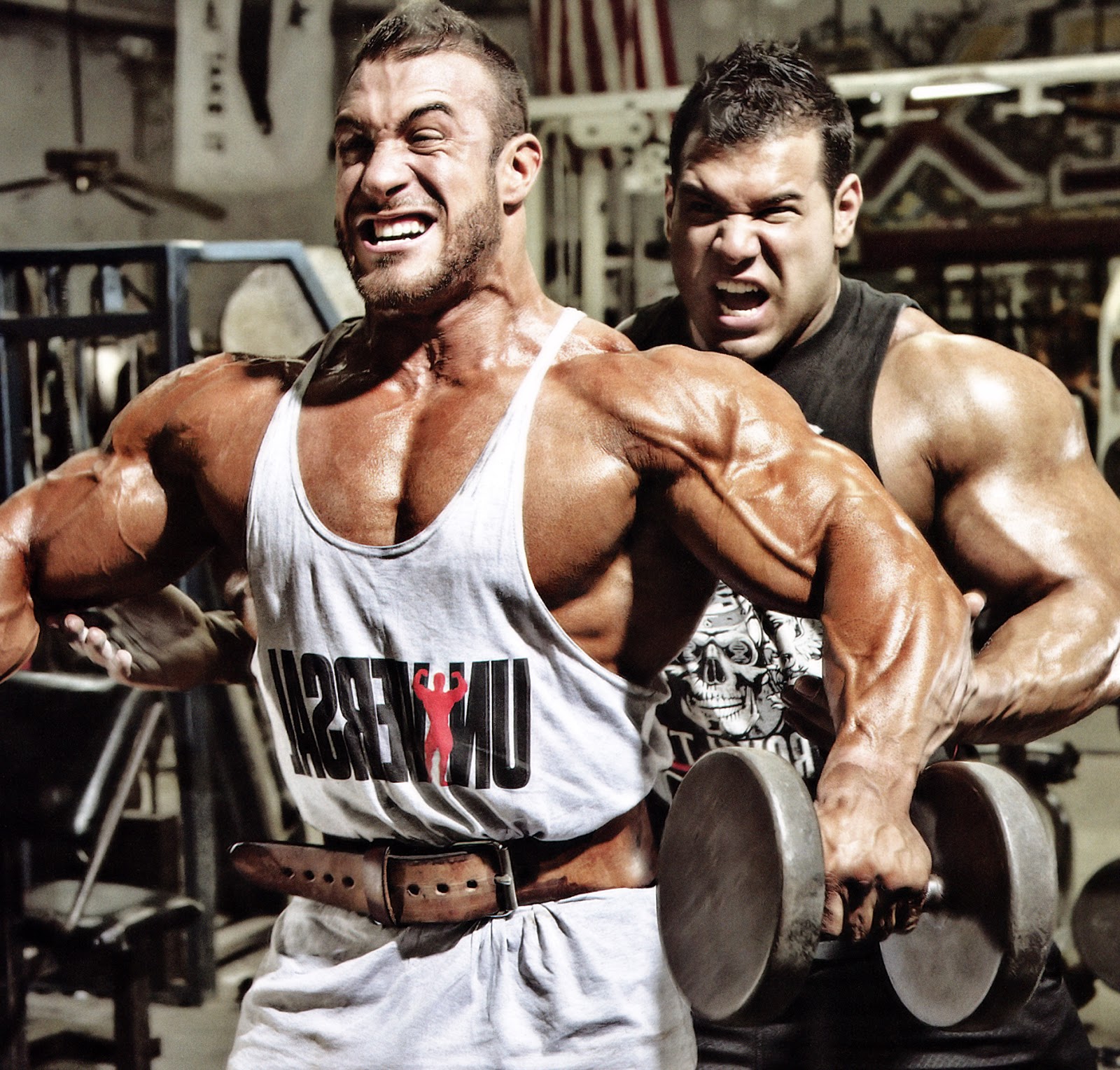 2013 Bodybuilding Images