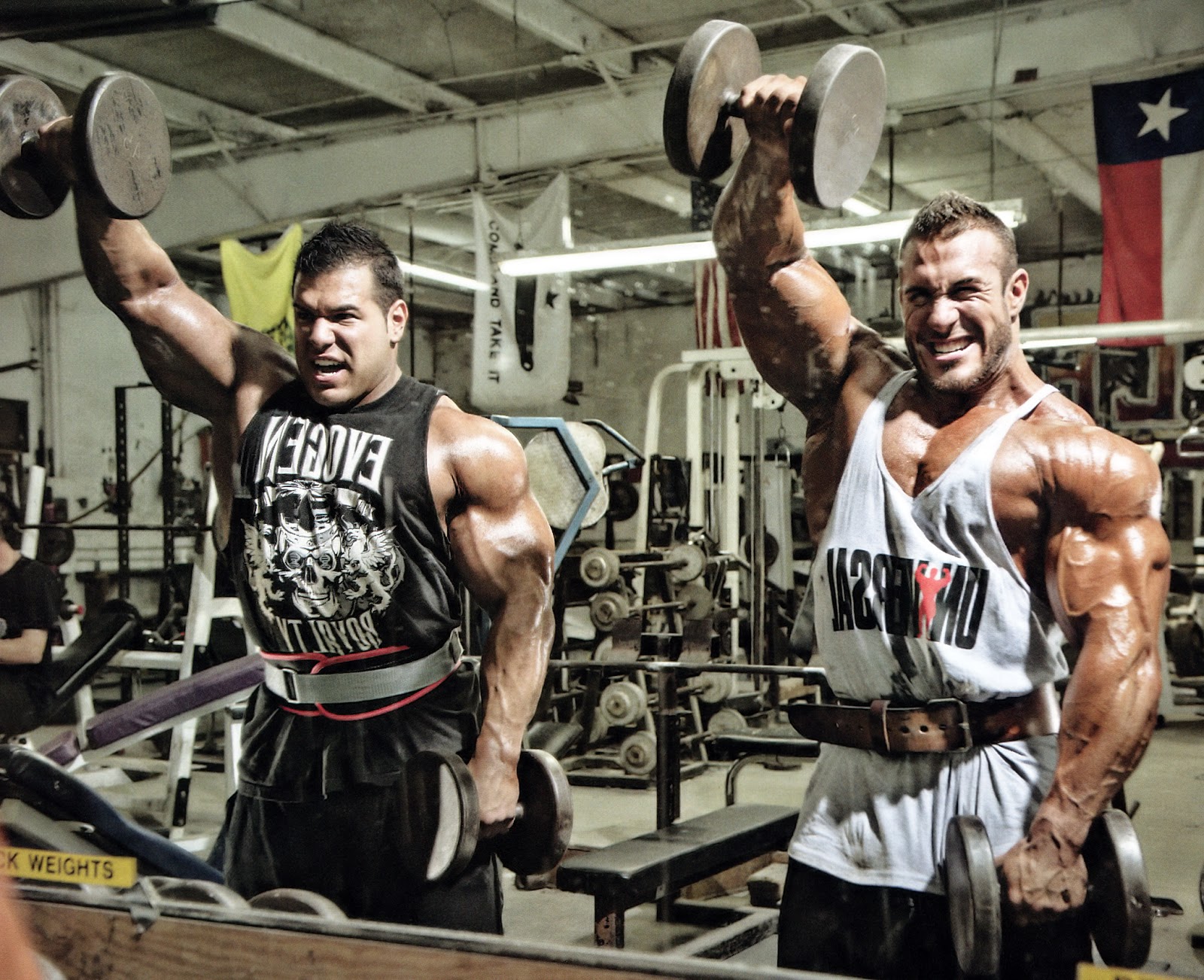 2013 Bodybuilding Images