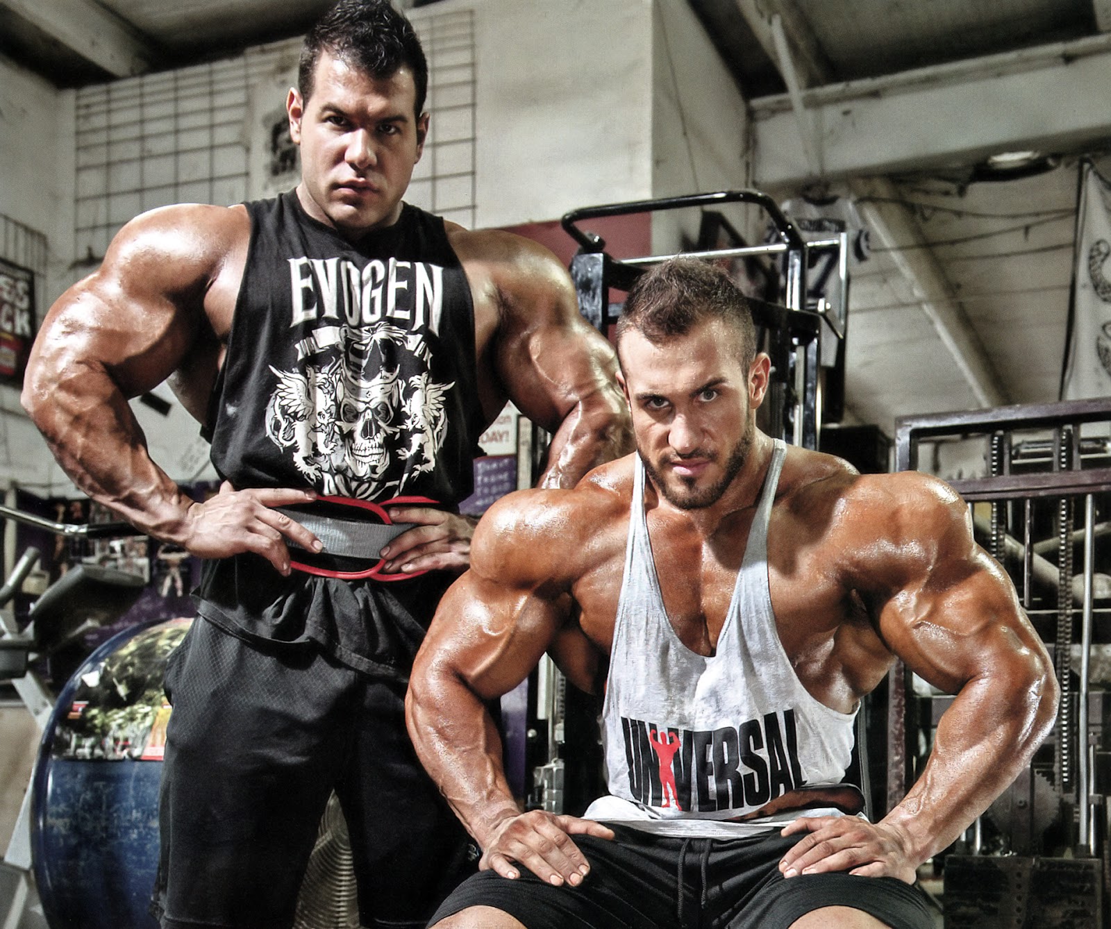 2013 Bodybuilding Images