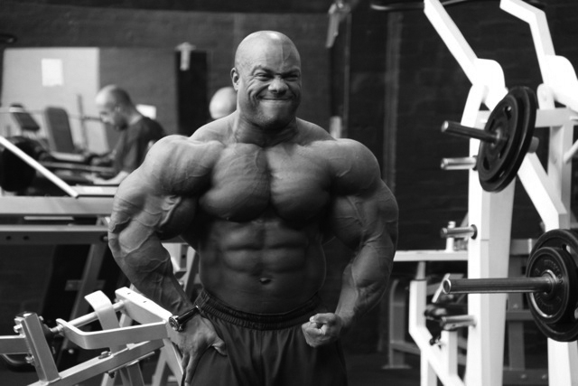 2013 Bodybuilding Images