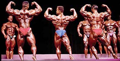 2013 Bodybuilding Images