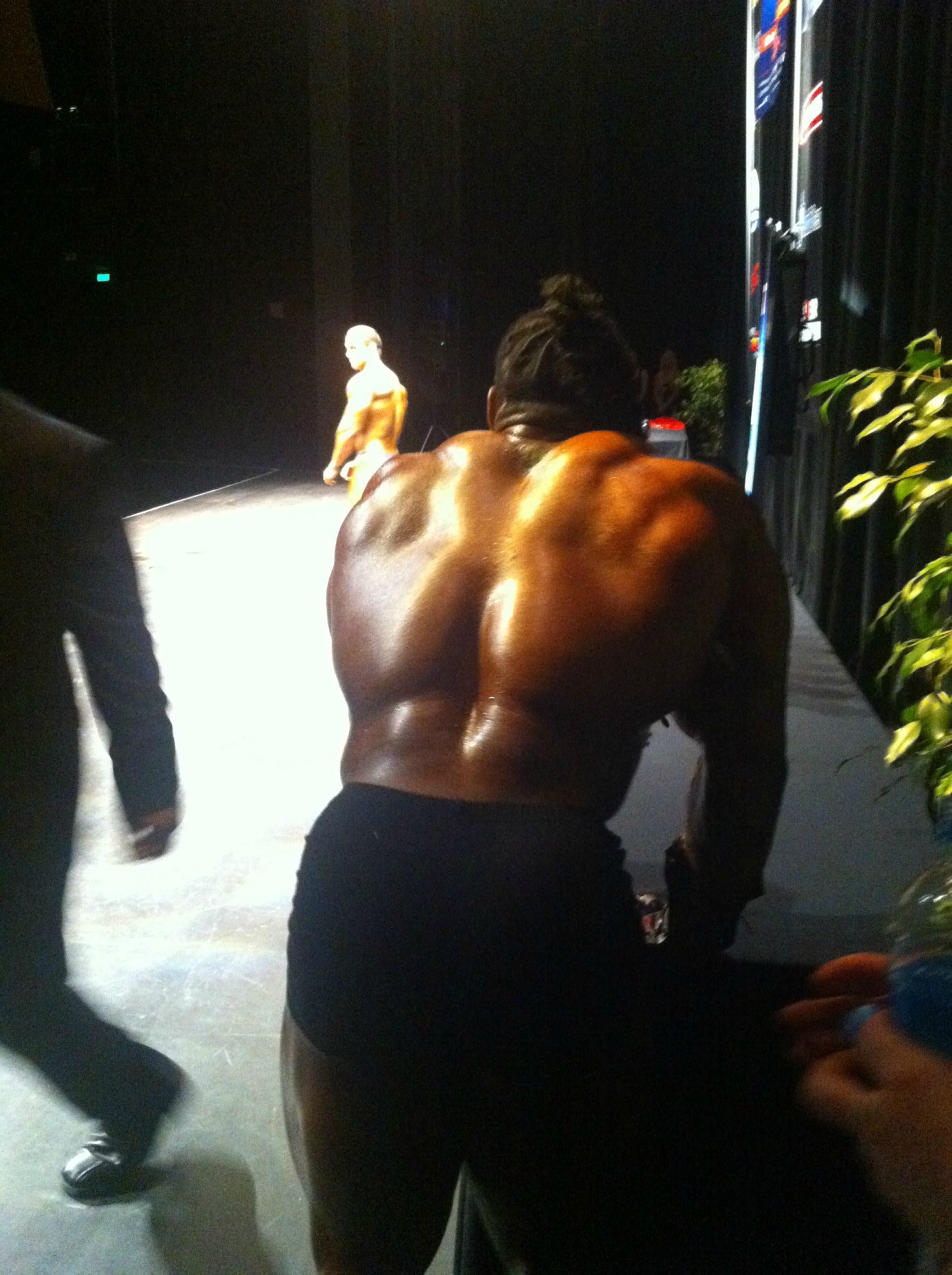 2013 Bodybuilding Images