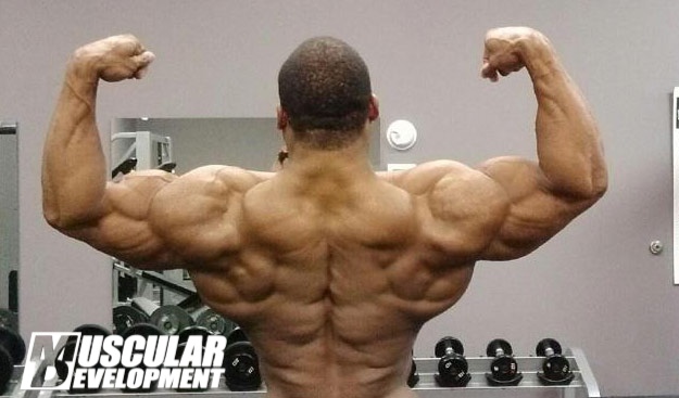 2013 Bodybuilding Images