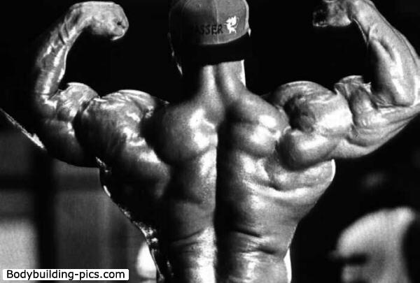 2013 Bodybuilding Images