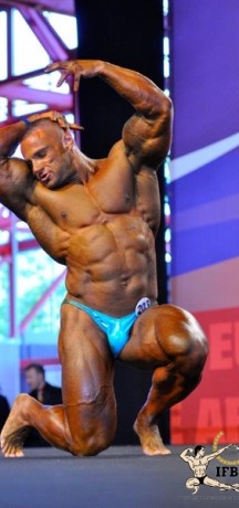 2013 Bodybuilding Images