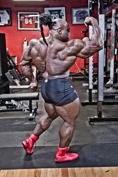 2013 Bodybuilding Images