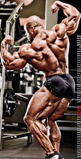 2013 Bodybuilding Images