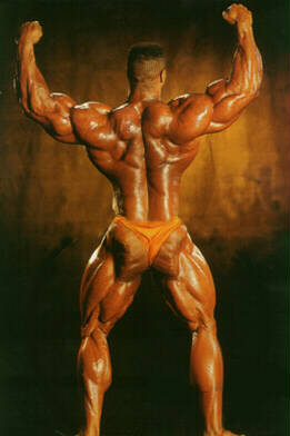 2013 Bodybuilding Images