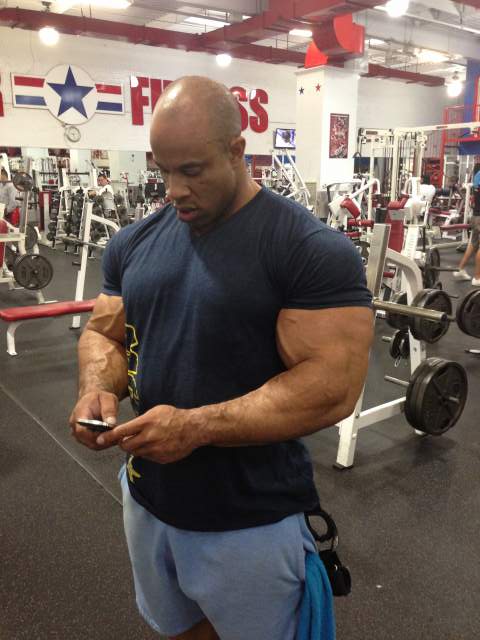 2013 Bodybuilding Images