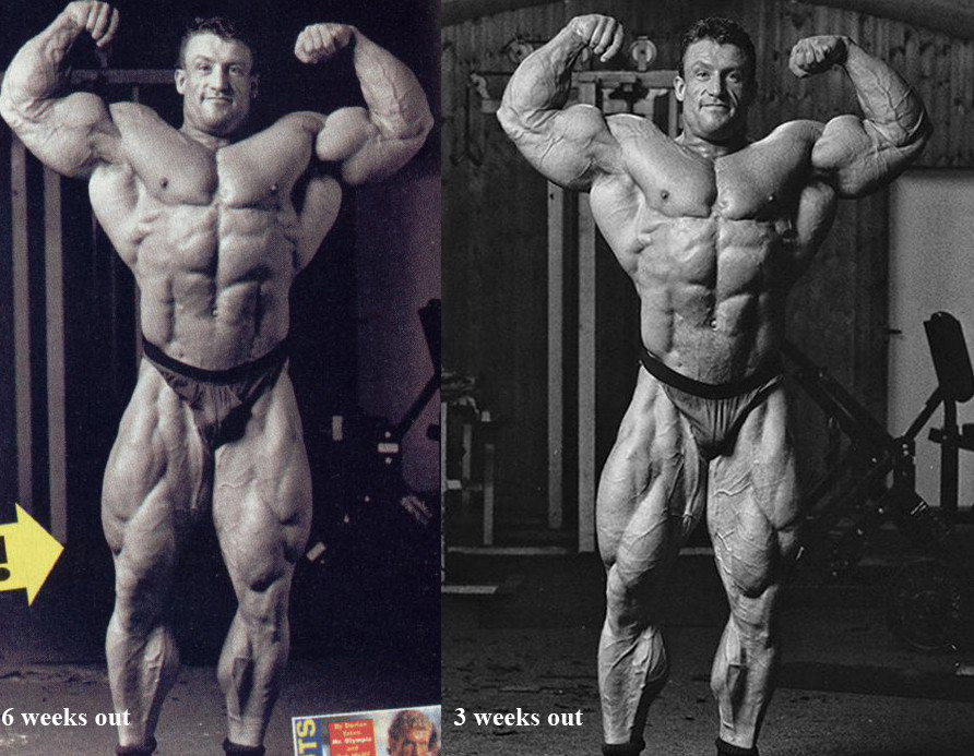 2013 Bodybuilding Images