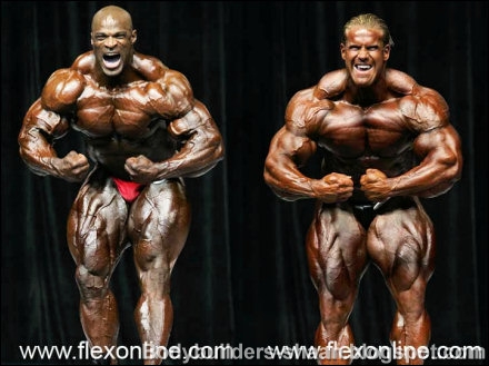 2013 Bodybuilding Images