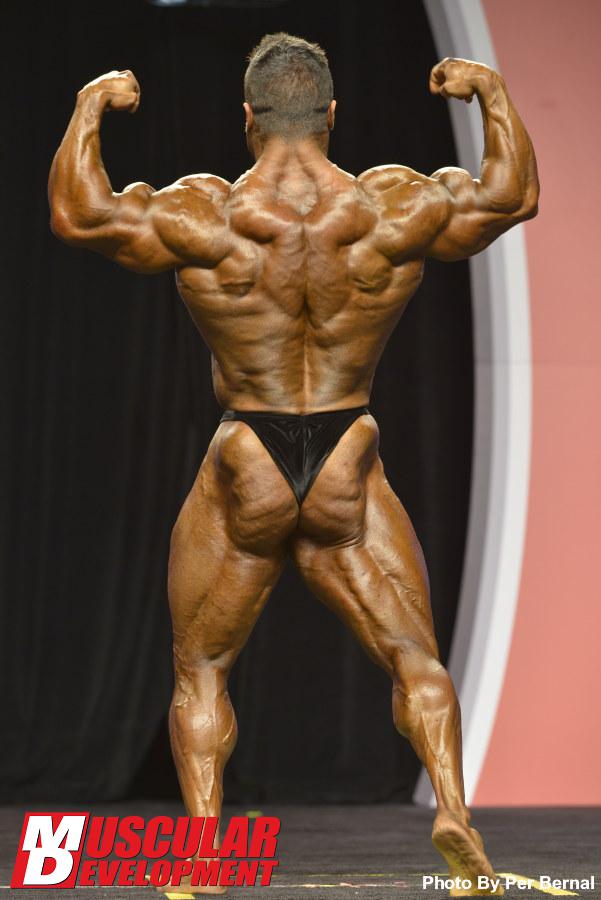 2013 Bodybuilding Images