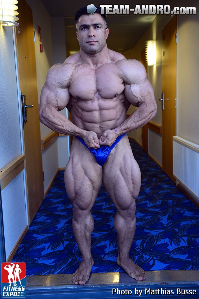 2013 Bodybuilding Images