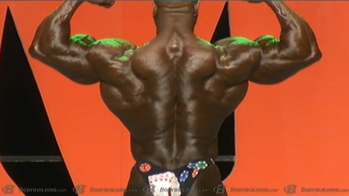 2013 Bodybuilding Images