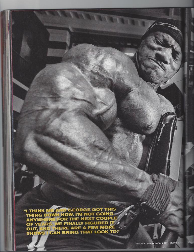 2013 Bodybuilding Images