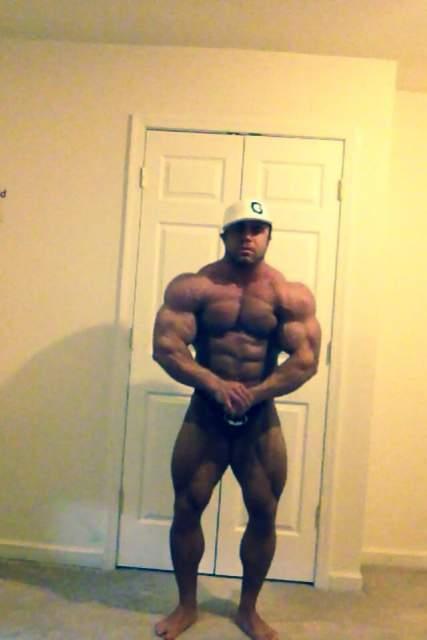 2013 Bodybuilding Images