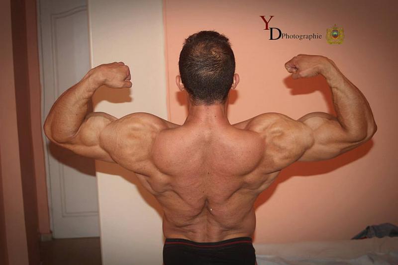 2013 Bodybuilding Images