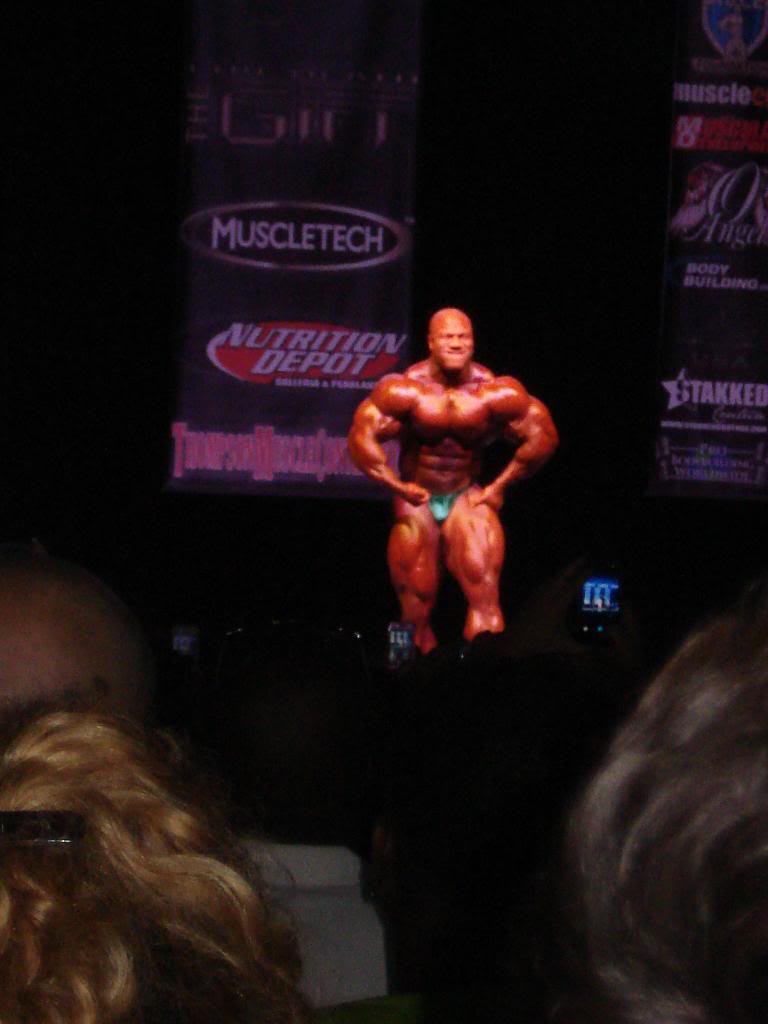 2013 Bodybuilding Images