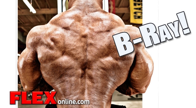 2013 Bodybuilding Images