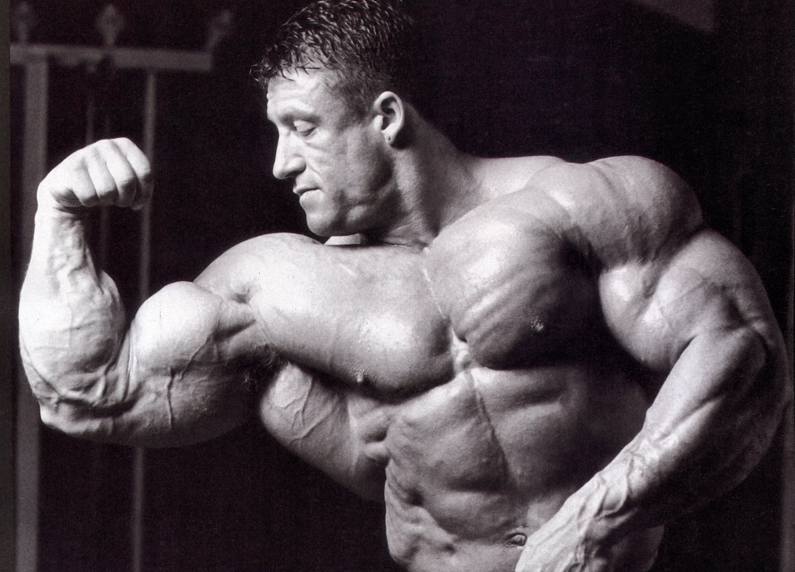 2013 Bodybuilding Images