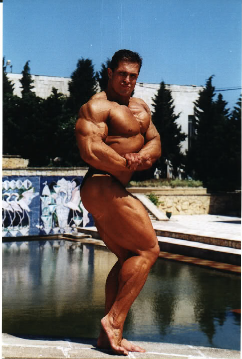 2013 Bodybuilding Images