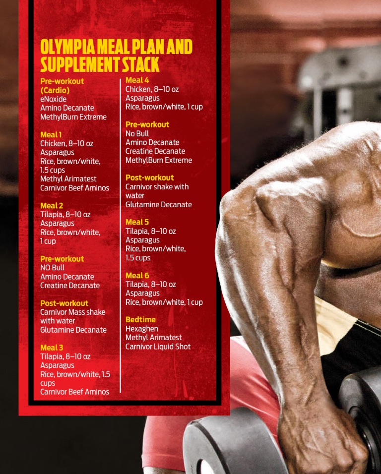 2013 Bodybuilding Images