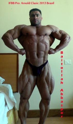 2013 Bodybuilding Images