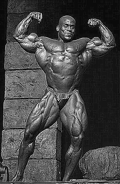 2013 Bodybuilding Images