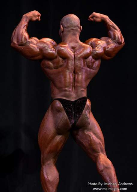 2013 Bodybuilding Images