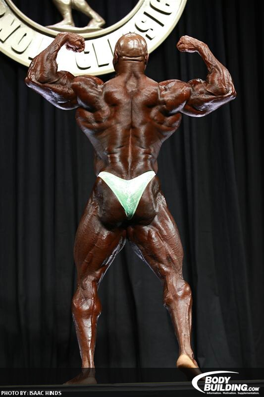 2013 Bodybuilding Images