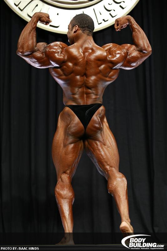 2013 Bodybuilding Images