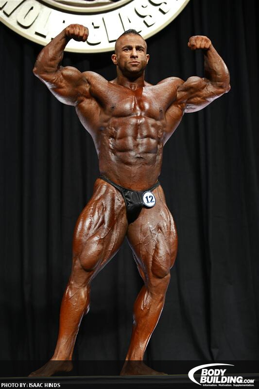 2013 Bodybuilding Images