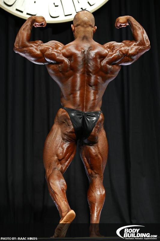 2013 Bodybuilding Images