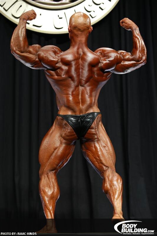 2013 Bodybuilding Images