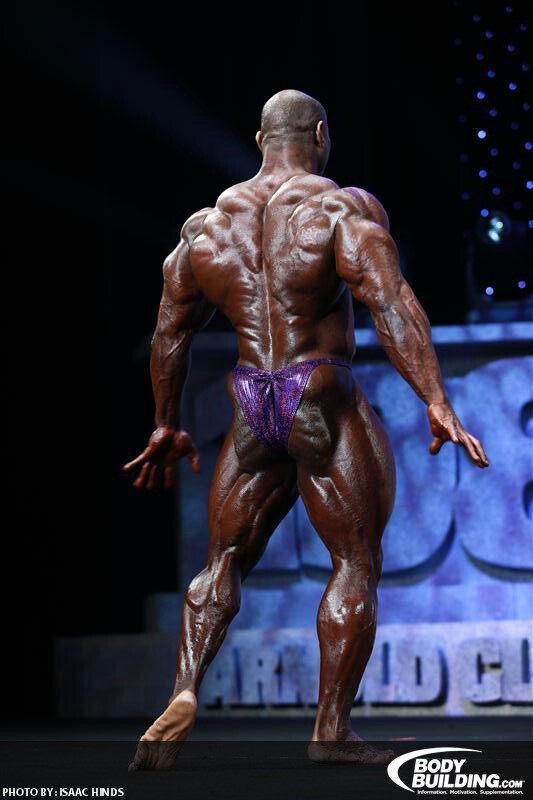 2013 Bodybuilding Images