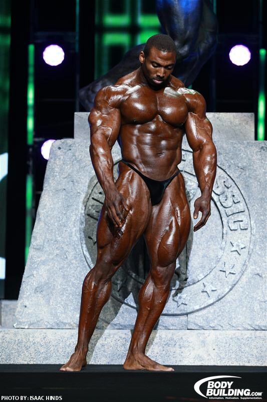 2013 Bodybuilding Images