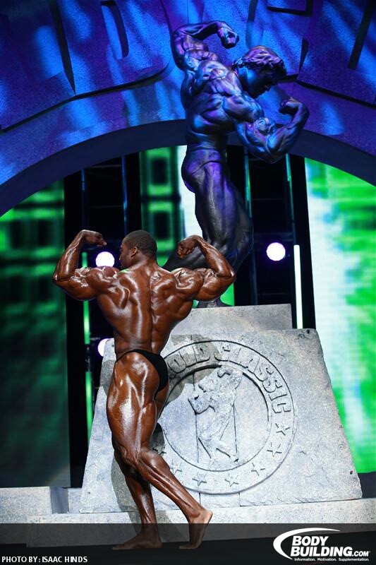 2013 Bodybuilding Images