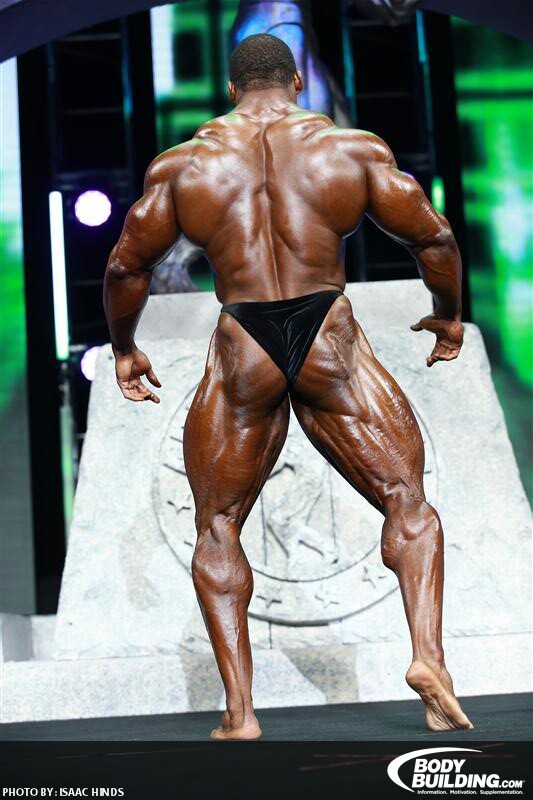 2013 Bodybuilding Images