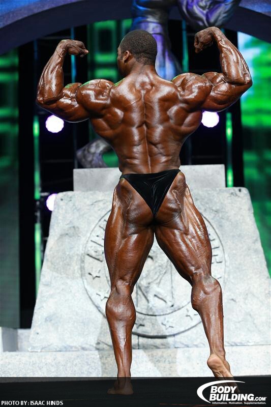 2013 Bodybuilding Images