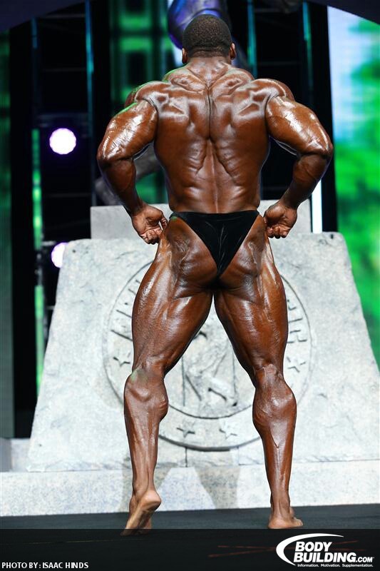 2013 Bodybuilding Images