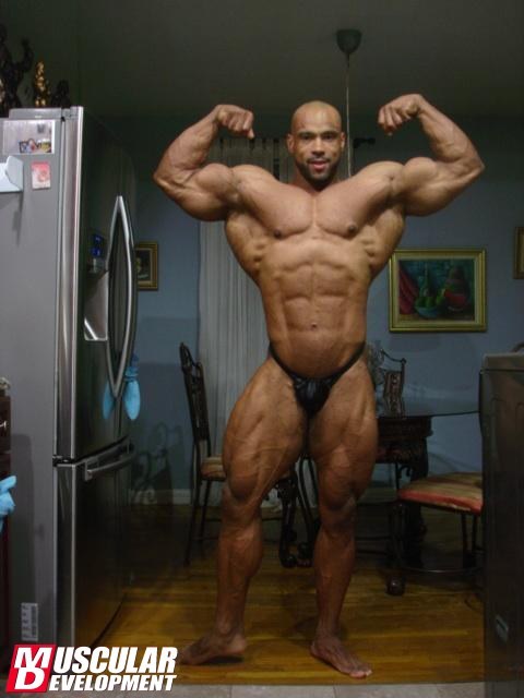 2013 Bodybuilding Images