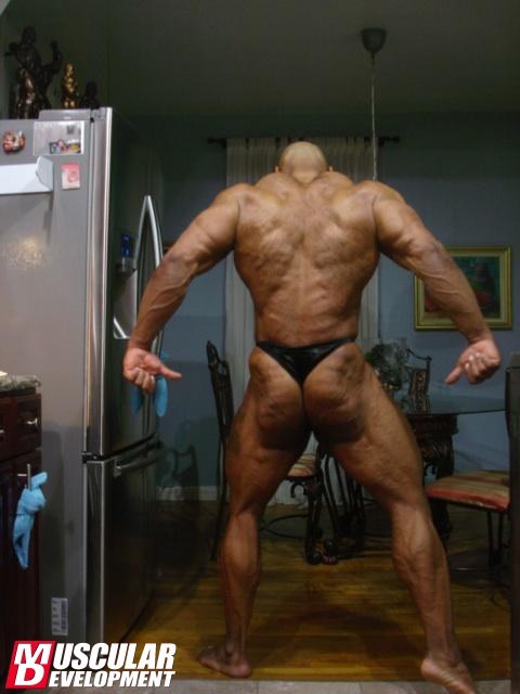 2013 Bodybuilding Images