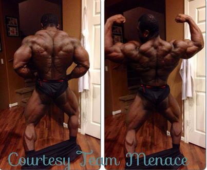 2013 Bodybuilding Images