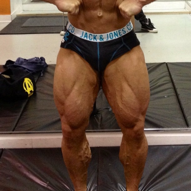 2013 Bodybuilding Images