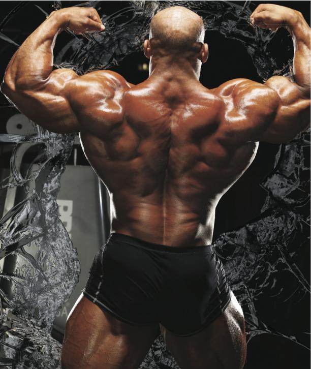 2013 Bodybuilding Images