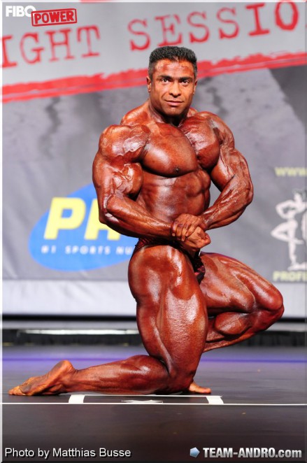 2013 Bodybuilding Images