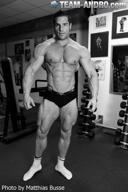 2013 Bodybuilding Images