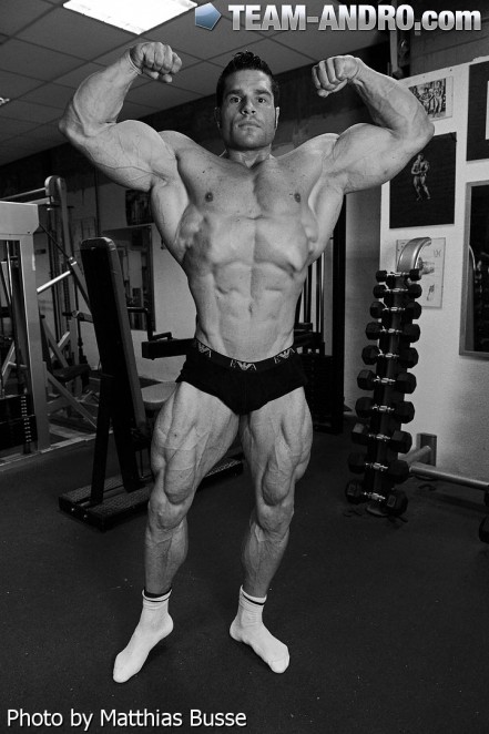 2013 Bodybuilding Images