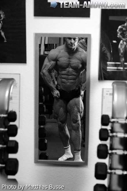 2013 Bodybuilding Images